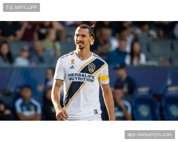 伊布这把年纪还敢这么花？